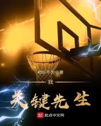 《我,关键先生》