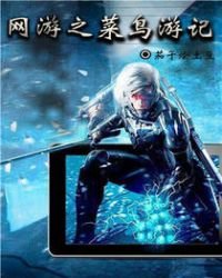 网游之菜鸟游记