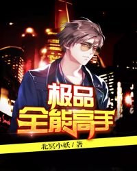 《极品全能高手》