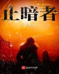 止暗者