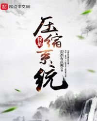 我是压缩系统