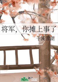 将军，你摊上事了