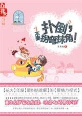扑倒,不要拐弯抹角