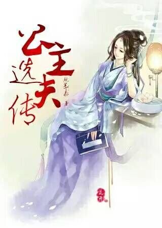 公主选夫传