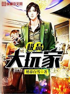 《极品大玩家》