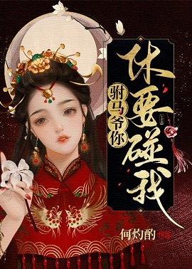驸马爷你休要碰我/试婚格格上位记