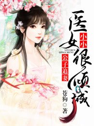 《公子追妻,小小医女很倾城》