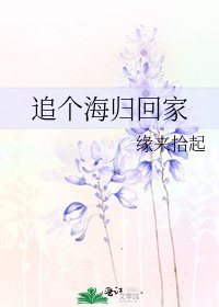 追个海归回家