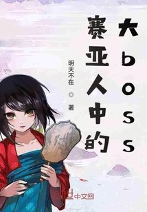 （龙珠同人）赛亚人中的大boss