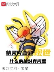 （宝可梦同人）精灵降临到现世什么的绝对有问题