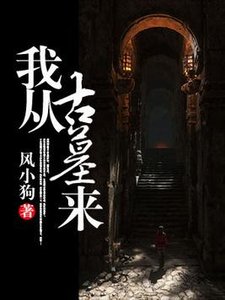 《我从古墓来》