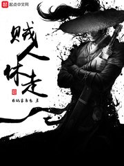《贼人休走》