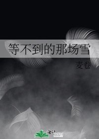 等不到的那场雪