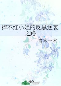 捧不红小姐的反黑逆袭之路