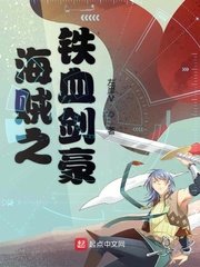 《海贼之铁血剑豪》