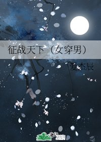 《征战天下(女穿男)》