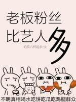 老板粉丝比艺人都多