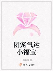《团宠气运小福宝》