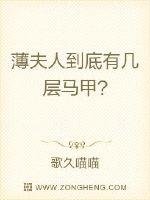 《薄夫人到底有几层马甲》