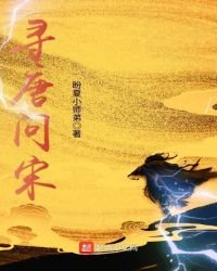 《寻唐问宋》