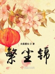 繁尘锦