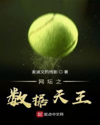 《网坛之数据天王》