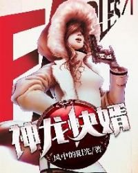 《神龙快婿》