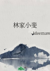 林家小斐