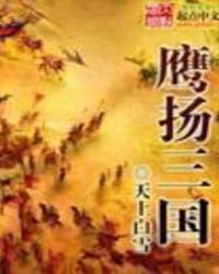 《鹰扬三国》