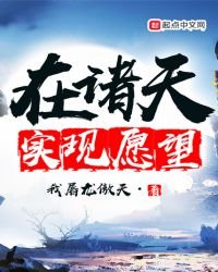 《在诸天实现愿望》