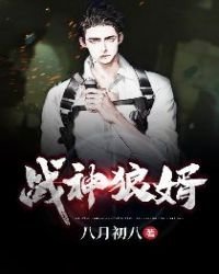 《叶新战神狼婿》