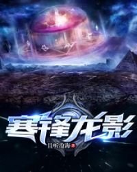 《寒锋龙影》