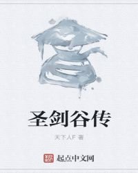 《圣剑谷传》