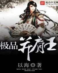 《极品并肩王》