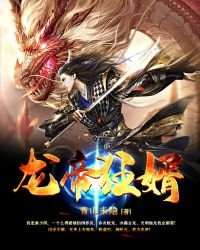 《龙帝狂婿》