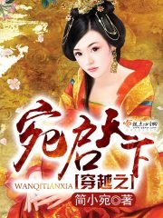 《穿越之宛启天下》