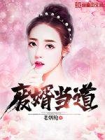 《废婿当道》