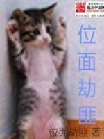 《位面劫匪》