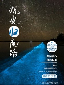 《沉光归南路》