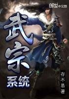 《武宗系统》