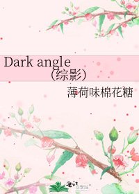 《Dark angle(综影)》