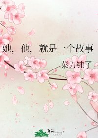《她,他,就是一个故事》