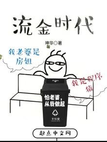 《流金时代》