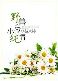野兽与小纯情