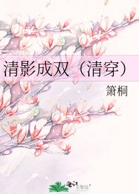 清影成双（清穿）