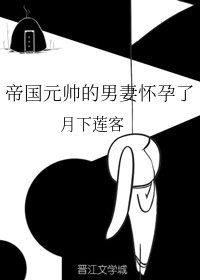 《帝国元帅的男妻怀孕了》