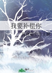我要补偿你