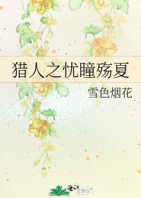 《猎人之忧瞳殇夏》