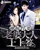 《神探悍妻之老婆大人上上签》