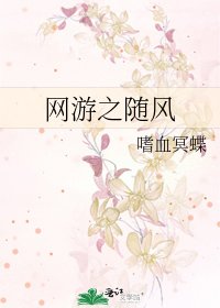 网游之随风